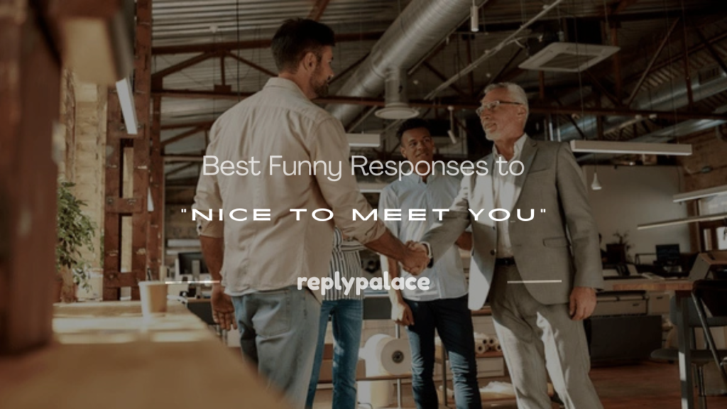 funny reply to nice to meet you