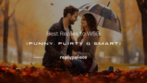 Read more about the article 300+ Best Replies to WSG (Funny, Flirty & Smart)