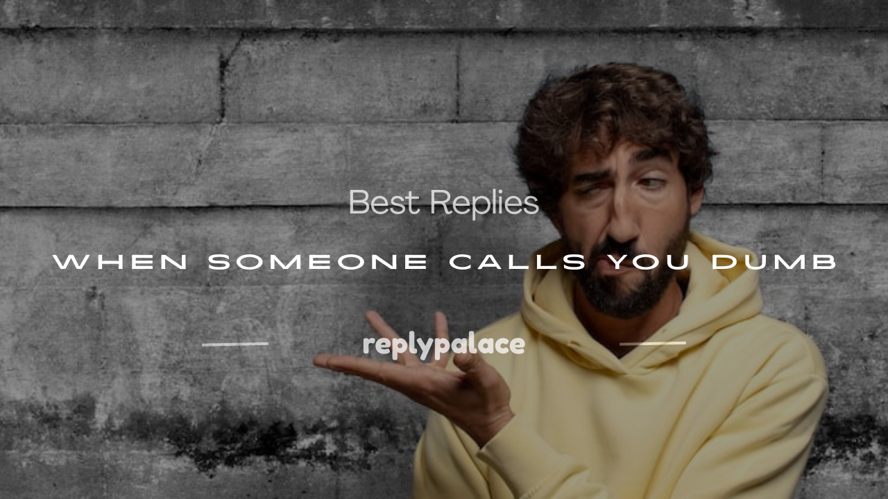Read more about the article 180+ Best Replies When Someone Calls You Dumb