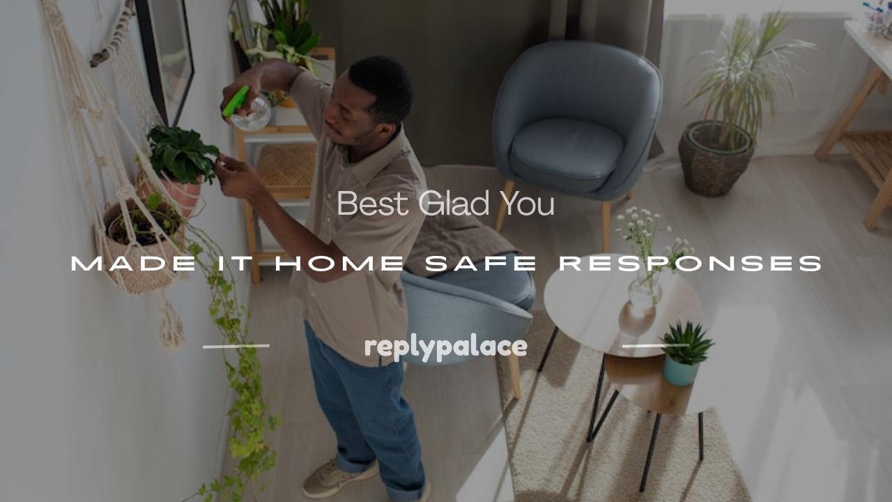 Read more about the article 250+ Best Glad You Made It Home Safe Responses