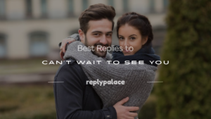 Read more about the article 200+ Best Replies to Can’t Wait to See You