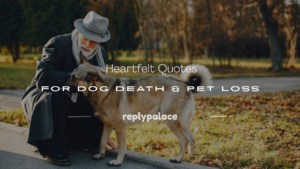 Read more about the article 101+ Heartfelt Quotes for Dog Death & Pet Loss