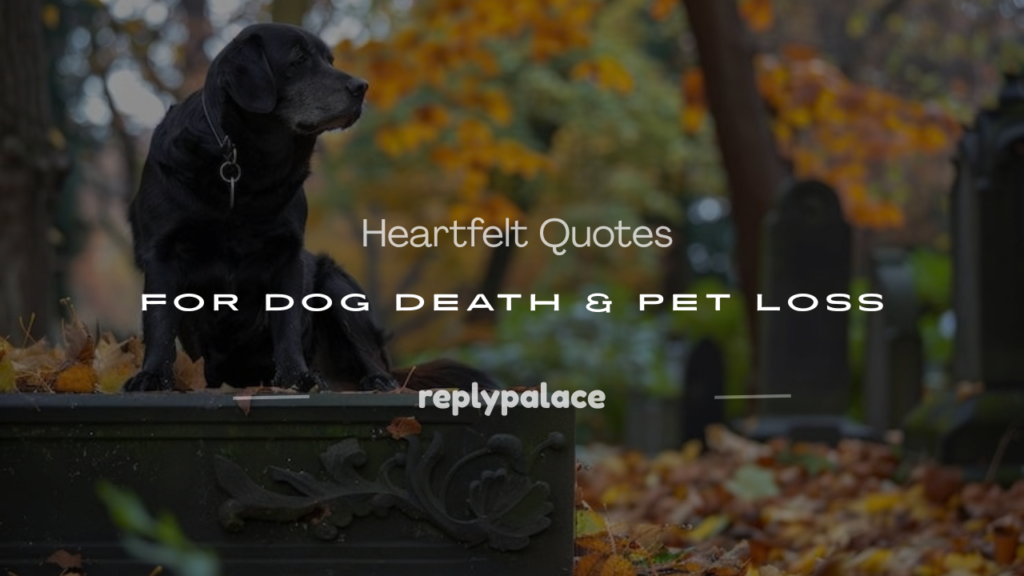 quotes for dog death